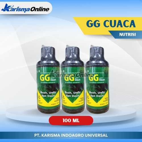 GG Daun 50 X 100 ml