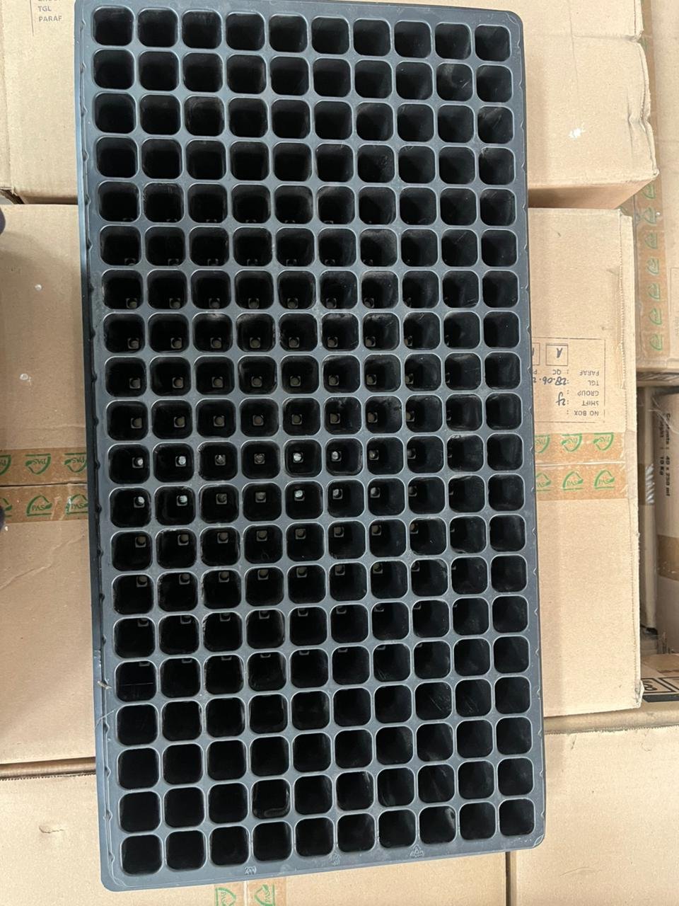 Pot Tray Dexxan 100 X 200 lubang