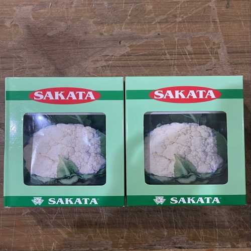 Cauli Flower White Shot 25 X 10 X 10 gr
